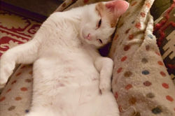 WhatsApp%20Image%202021-05-02%20at%2016.