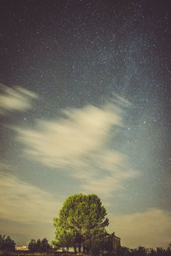 Nocturna