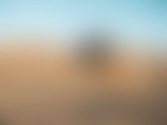 The Ultimate Guide To Dune Buggy Tours In The Desert