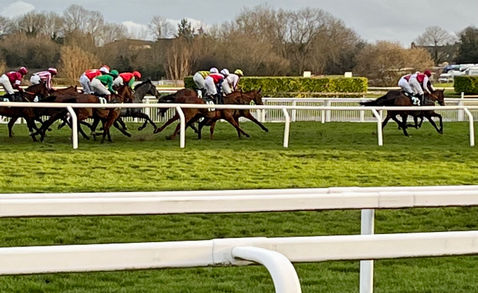 Best views of the access with Stadium sports Travel Cheltenham Festival Hospitality