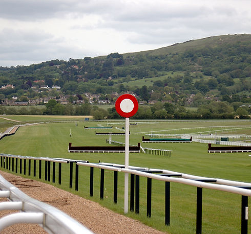 Cheltenham Festival horse racing at Cheltenham Racecourse