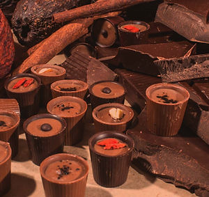 Gaia-cacao-chocolate.jpg