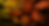Exclusive Packages.png