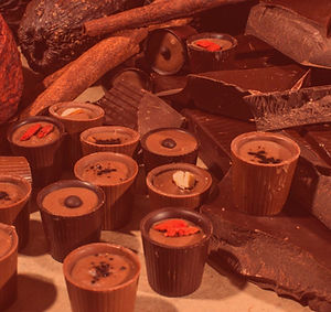 Gaia-cacao-chocolate_edited.jpg