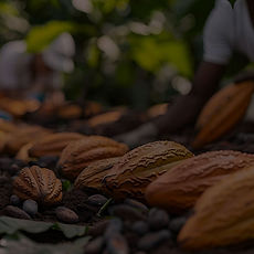 Finca Santa Cruz, Cumboto