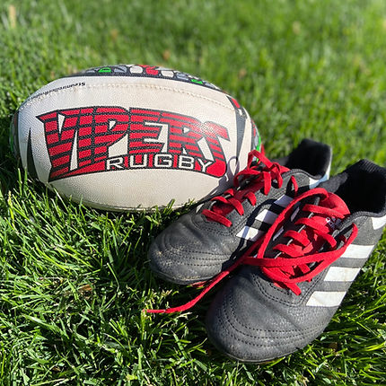photo vipers ball and cleats 1.jpg