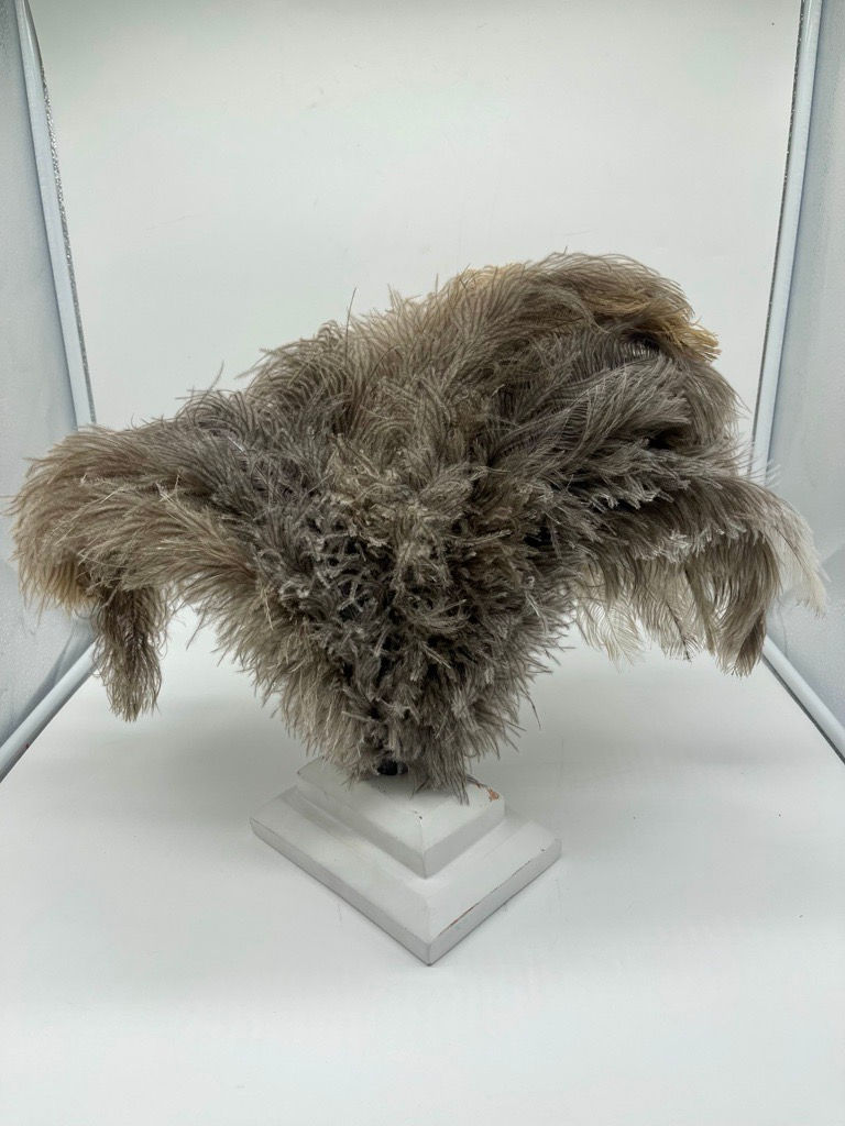 Thumbnail: Ostrich Floss - Natural