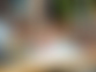 What is a Building Estimator