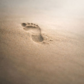 1-DAVRANIŞ BİR SEÇİM DEĞİL, BİR İZDİR