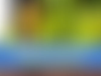 Running retraining that can help for medial tibial stress syndrome (shin splints)