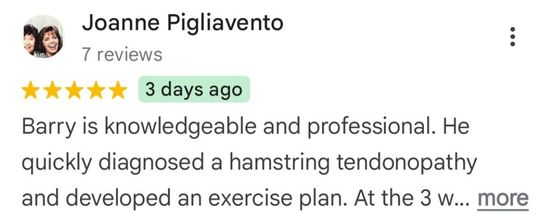 Review about physio for high hamstring tendinopathy