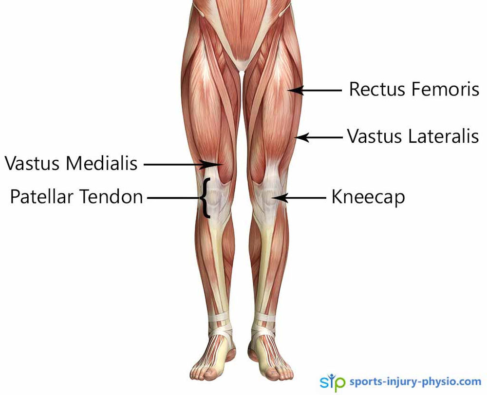 Injury Prevention 101 The Quads Exercises Sports Injury Physio