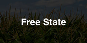 Free State