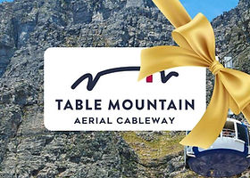 The Table Mountain Aerial Cableway logo