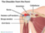 Shoulder impingement pain comes from inflammation of tendons and bursa in the sub-acromial space of the shoulder joint.