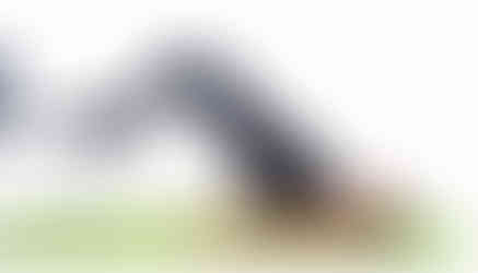 Double leg bridge with feet on chair