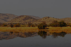 Pilanesberg park in North West