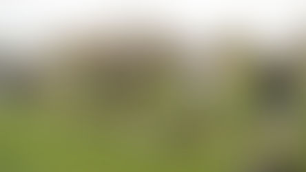 DESERT FINANCIAL FOUNDATION GOLF TOURNAMENT RAISES OVER $500k FOR PHOENIX CHILDREN'S 1 DARN COOL SCHOOL!