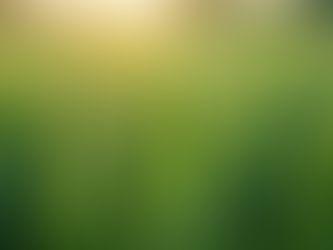 The Importance of Eco-Friendly Products