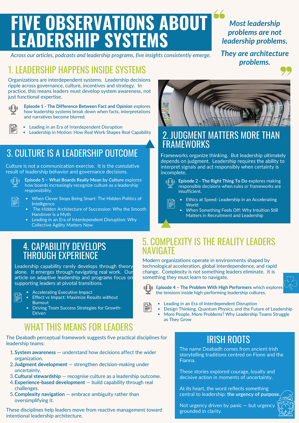 Deabadh perceptual framework leadership systems coherence model