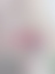 4555 Sugarbend Way, Raleigh. Sold $226,000