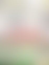 1910 Fox Sterling Drive. Raleigh. Sold $187,000