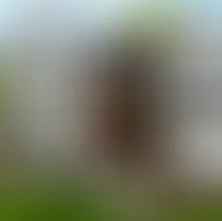 Raleigh New Construction Home - List 2,595,000