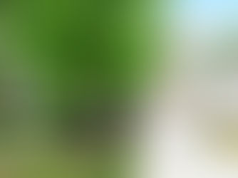 3705 Yates Mill Trail, Raleigh, NC | Listing Price: $515,000 | Sold $525,000 