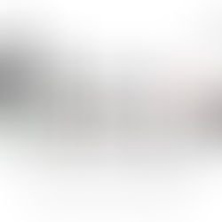 禪凌藝術拍賣｜2025年 LINE 線上首拍 - 古董拍賣（線上線下同步進行）