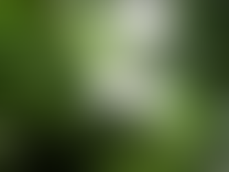 How to Celebrate Earth Day 2024 in Singapore