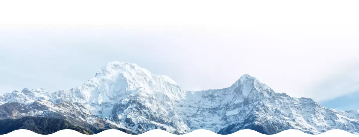 himalayan2.webp