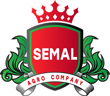 лого SEMAL _1.png