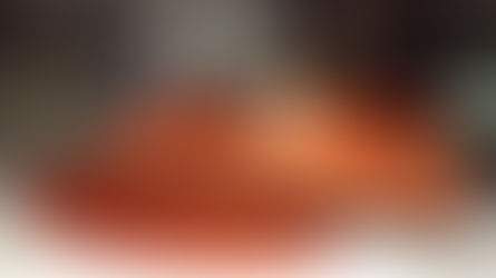 Vegan Interior Design