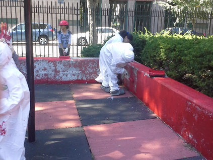 Cleaning our Community