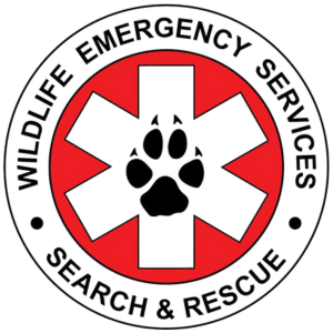 Wildlife Emergency.png