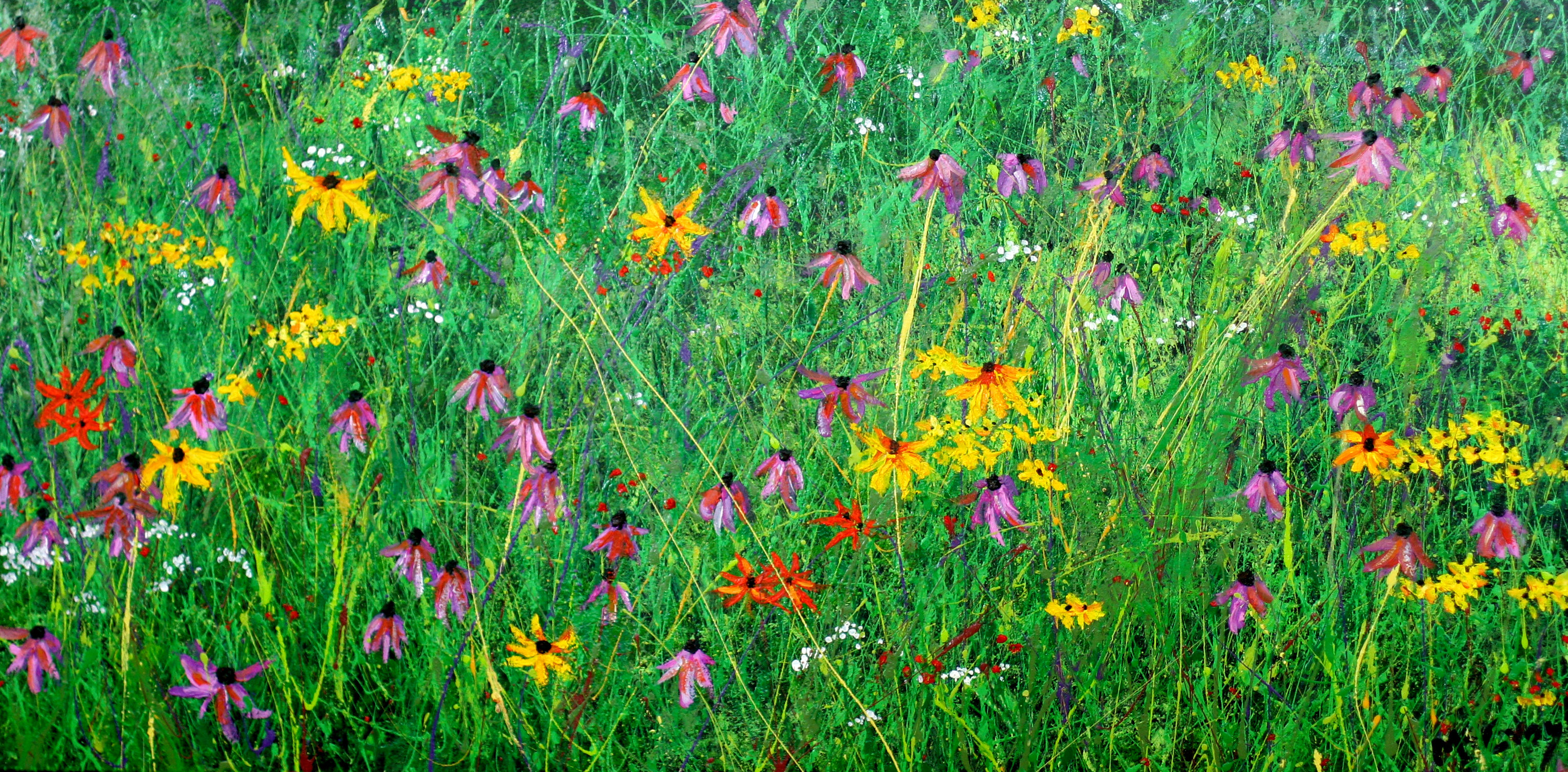Dance of the Cone Flowers