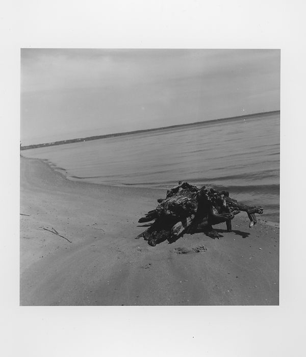 Untitled (7).jpg