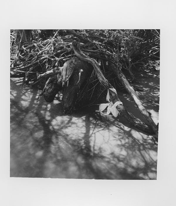 Untitled (10).jpg