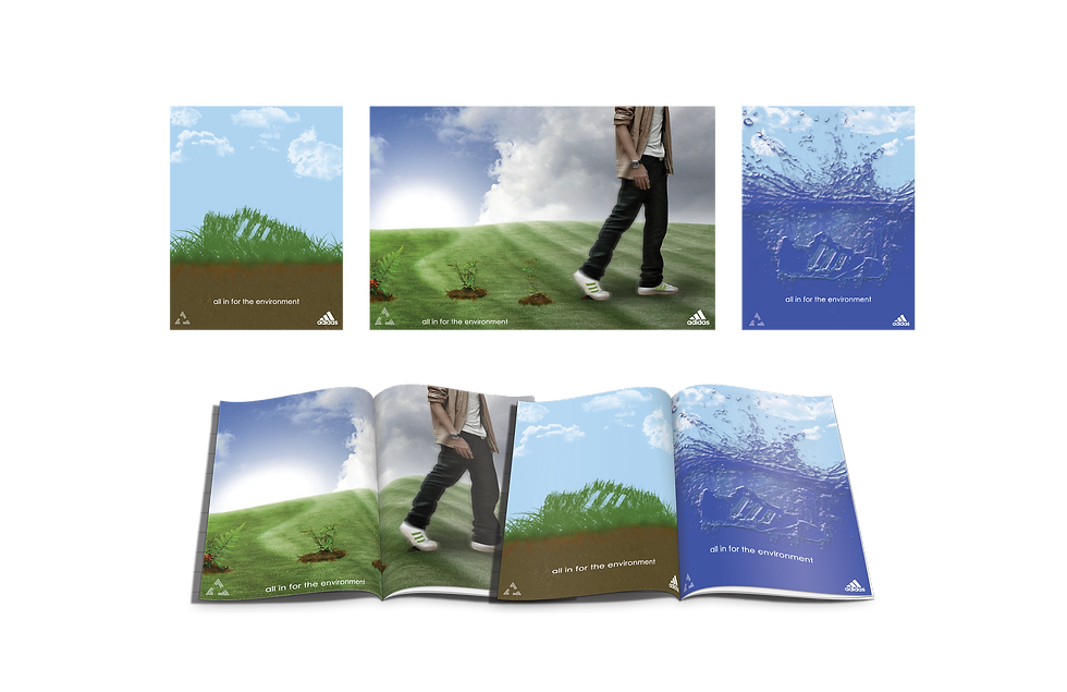 Eco Ad layout