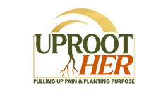 Untitled design (3).png