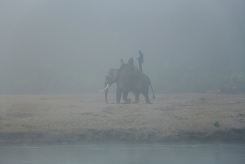 Chitwan NP