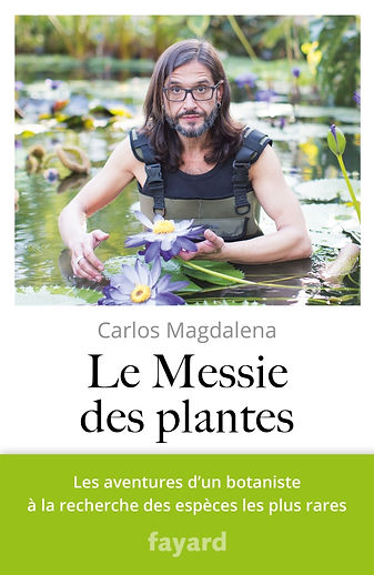 messie.jpeg