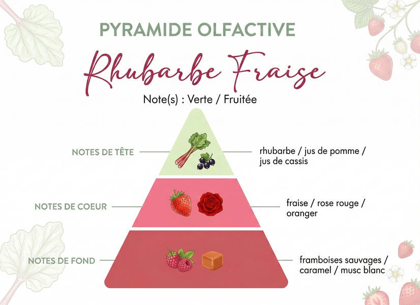 Miniature : Pyramide olfactive bougie Rhubarbe Fraise - notes fruitées et acidulées