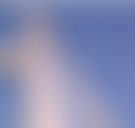 Lightning Protection Systems for Reinforced Concrete Bridges