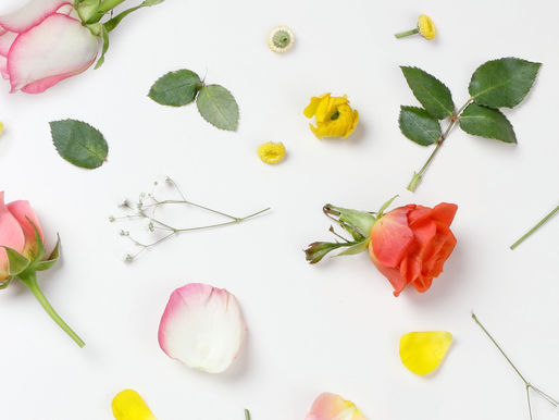 【ワークショップのお知らせ】