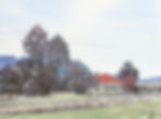 IMG_3884.jpeg