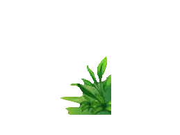 GIFBookBackground2.gif