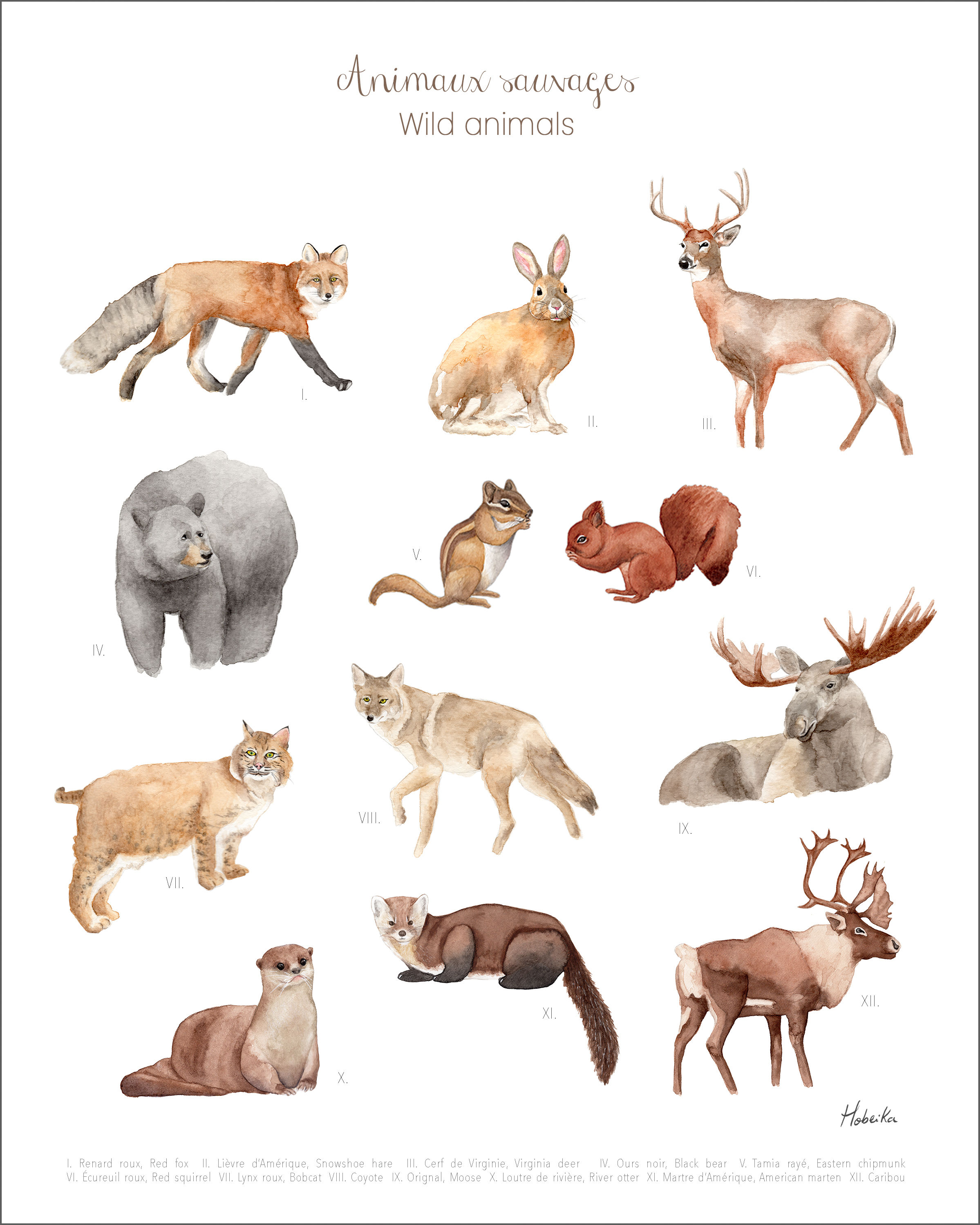 Forest wild animals poster, made in Quebec Canada, Affiche animaux sauvages forêt du Québec, Fait au Québec Canada Hobeika
