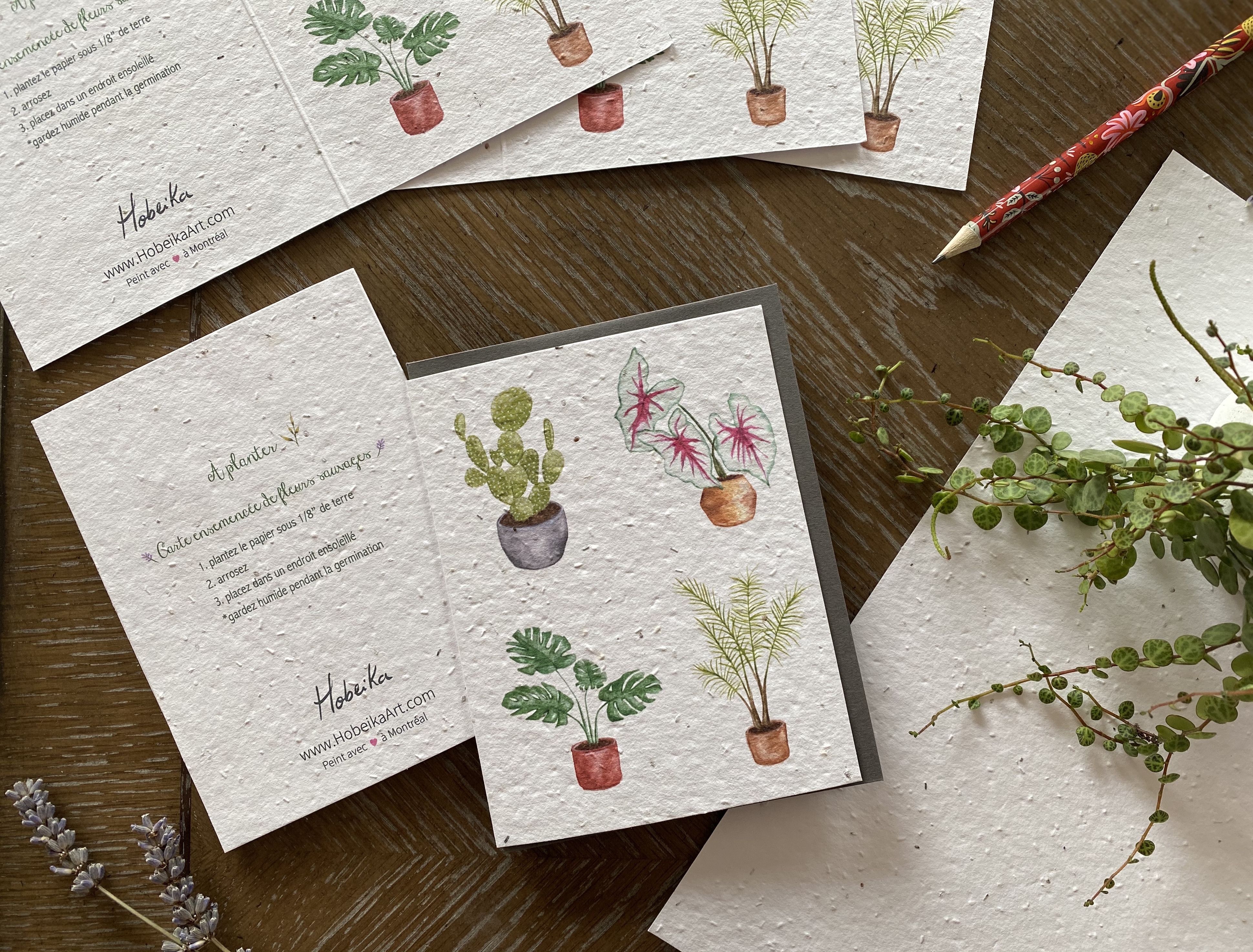 Plantable card - Plants