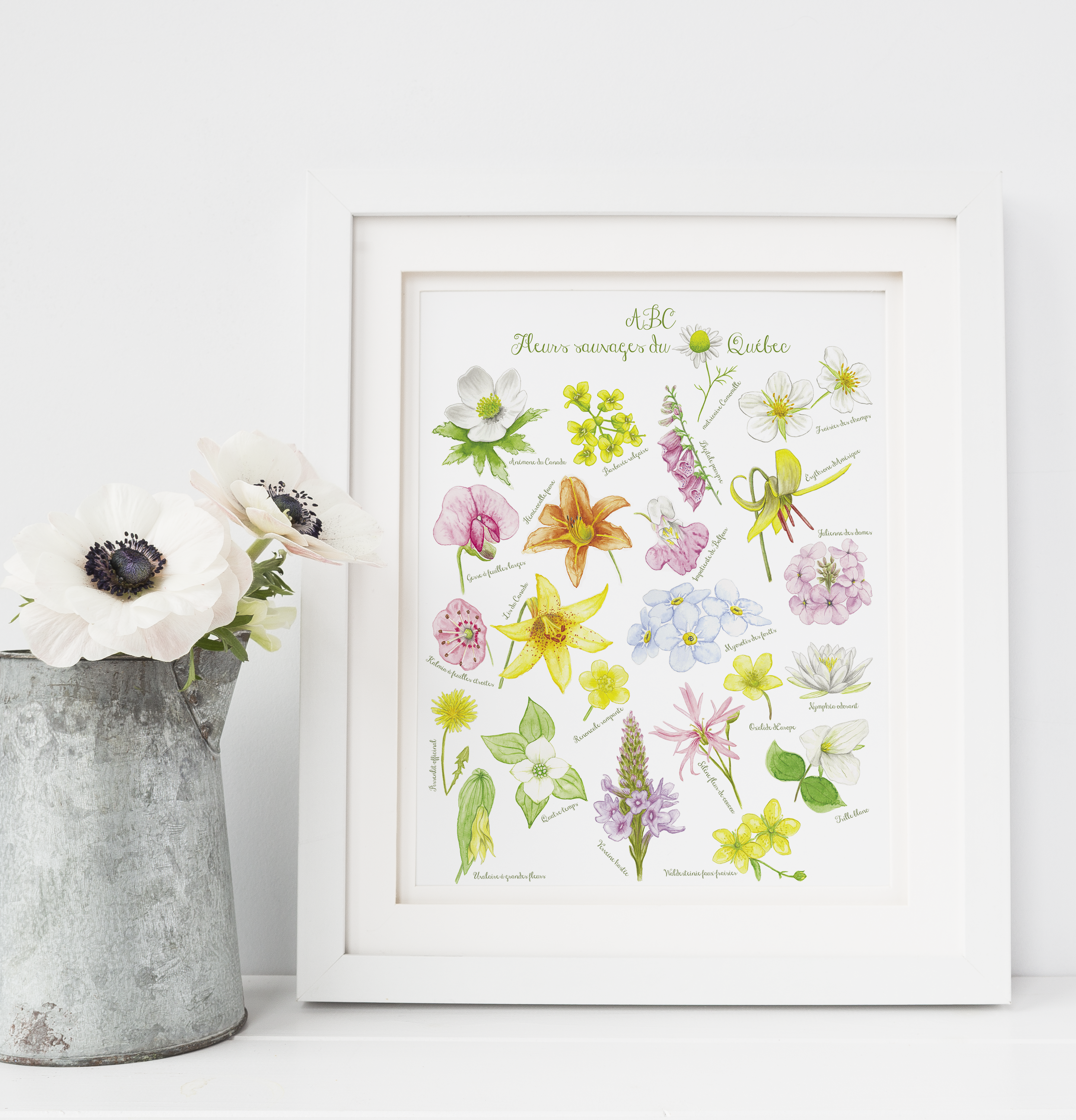 ABC Wildflowers